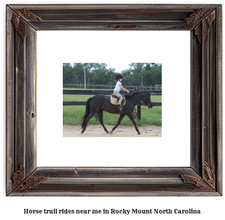 horse trail rides near me in Rocky Mount, North Carolina